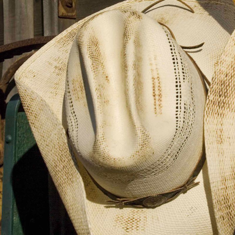 Snake Cowboyhatt i Strå