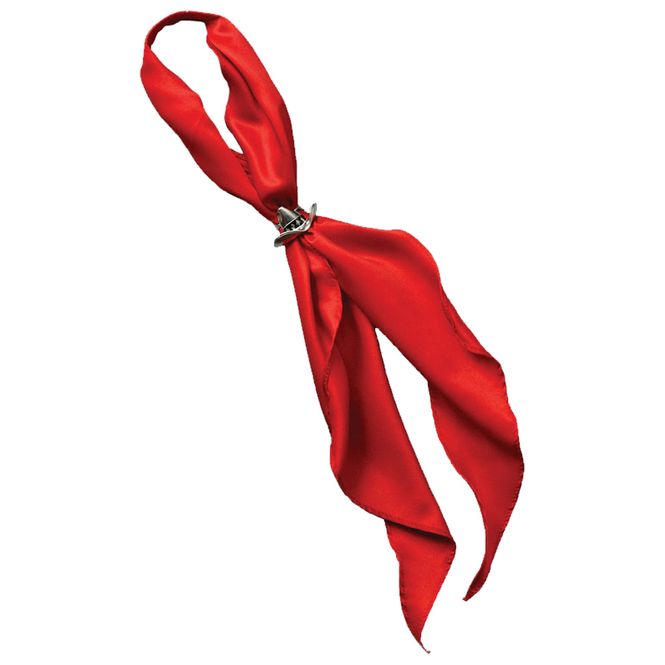 Hovedbilde Red Scarf Tie